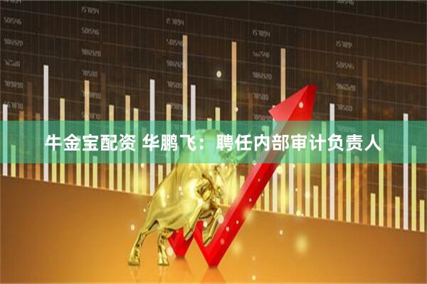 牛金宝配资 华鹏飞：聘任内部审计负责人