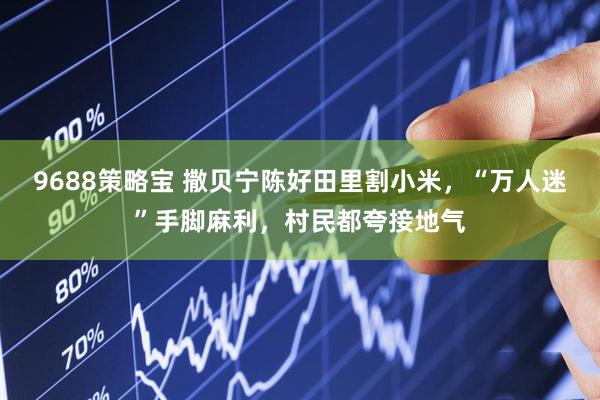 9688策略宝 撒贝宁陈好田里割小米，“万人迷”手脚麻利，村民都夸接地气
