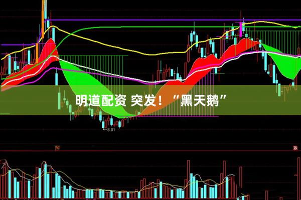 明道配资 突发！“黑天鹅”